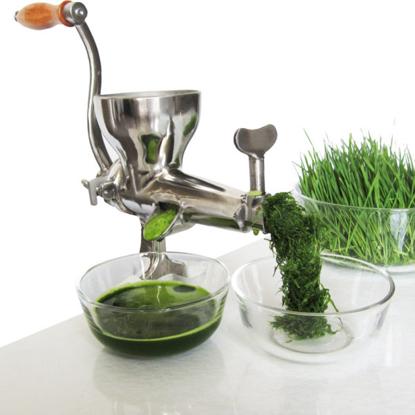 The Ultimate Guide to Choose The Best Wheatgrass Juicer 2023 Dulceria