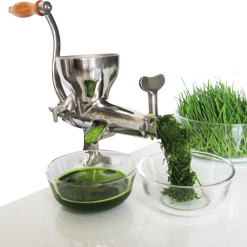 Best Wheatgrass Juicer For Nutritious Juice Even On A Budget